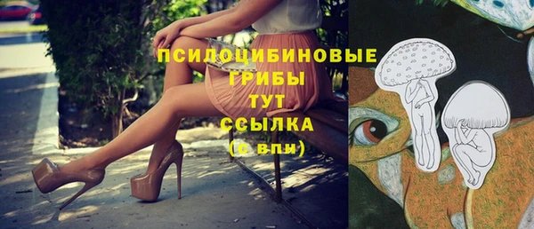 ПСИЛОЦИБИНОВЫЕ ГРИБЫ Абдулино