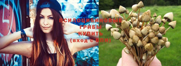 ПСИЛОЦИБИНОВЫЕ ГРИБЫ Абдулино