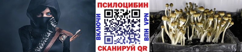 Псилоцибиновые грибы мухоморы  Красноярск 