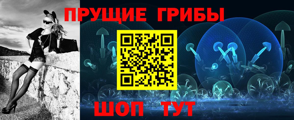 Красноярск  Псилоцибиновые грибы MAGIC MUSHROOMS  Псилоцибиновые грибы Psilocybine cubensis  Вход с VPN 